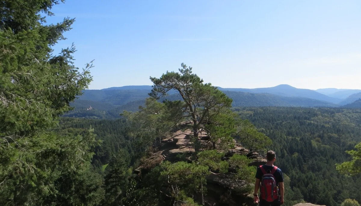 Sportwandern in der Pfalz | © DAV Heidelberg