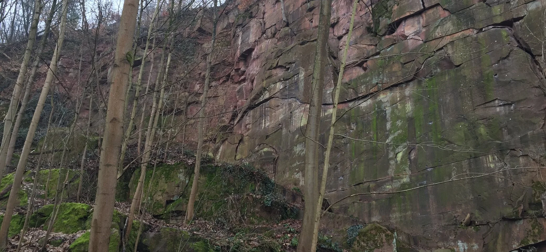 Riesenstein | © DAV Heidelberg