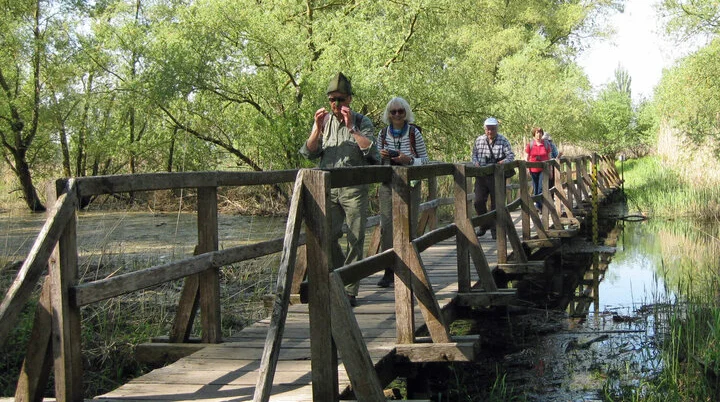 Wandern | © DAV Heidelberg/Wandern
