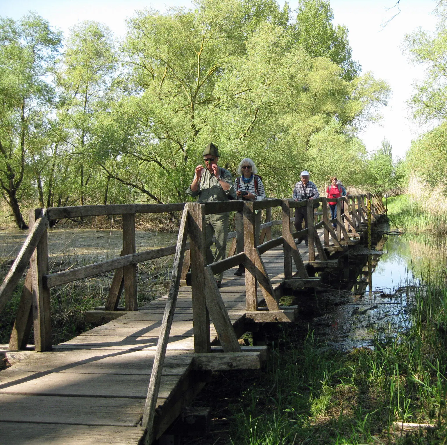 Wandern | © DAV Heidelberg/Wandern