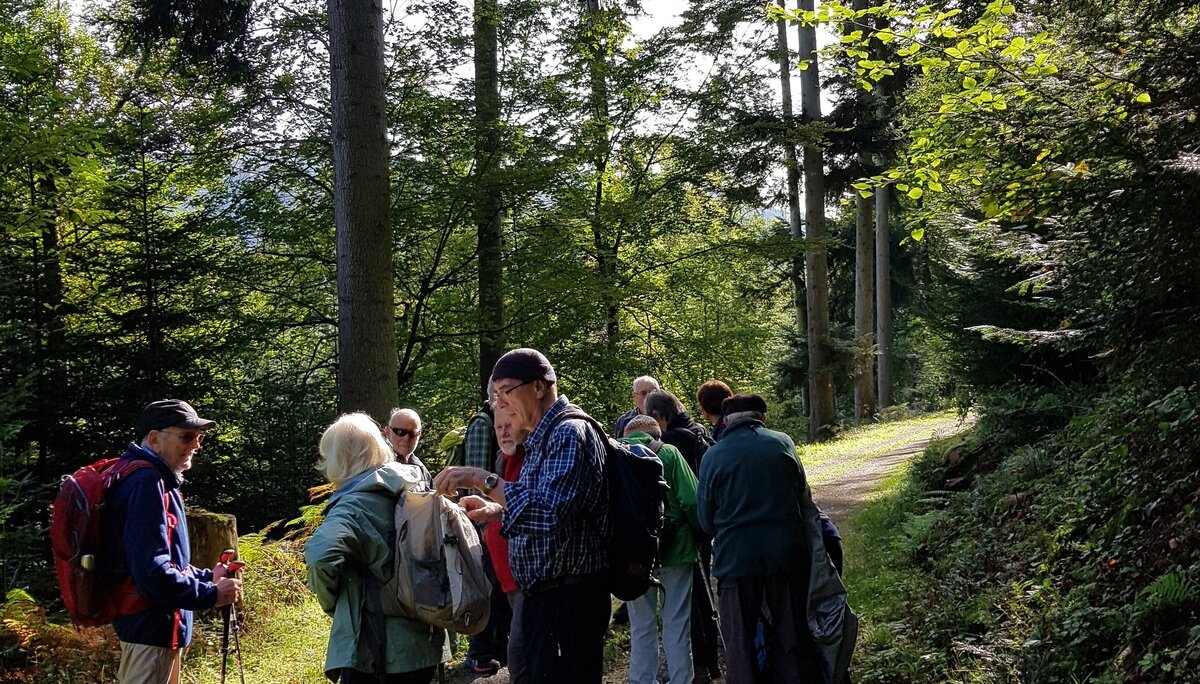 Wanderung | © DAV Heidelberg/Referat Wandern N.N.