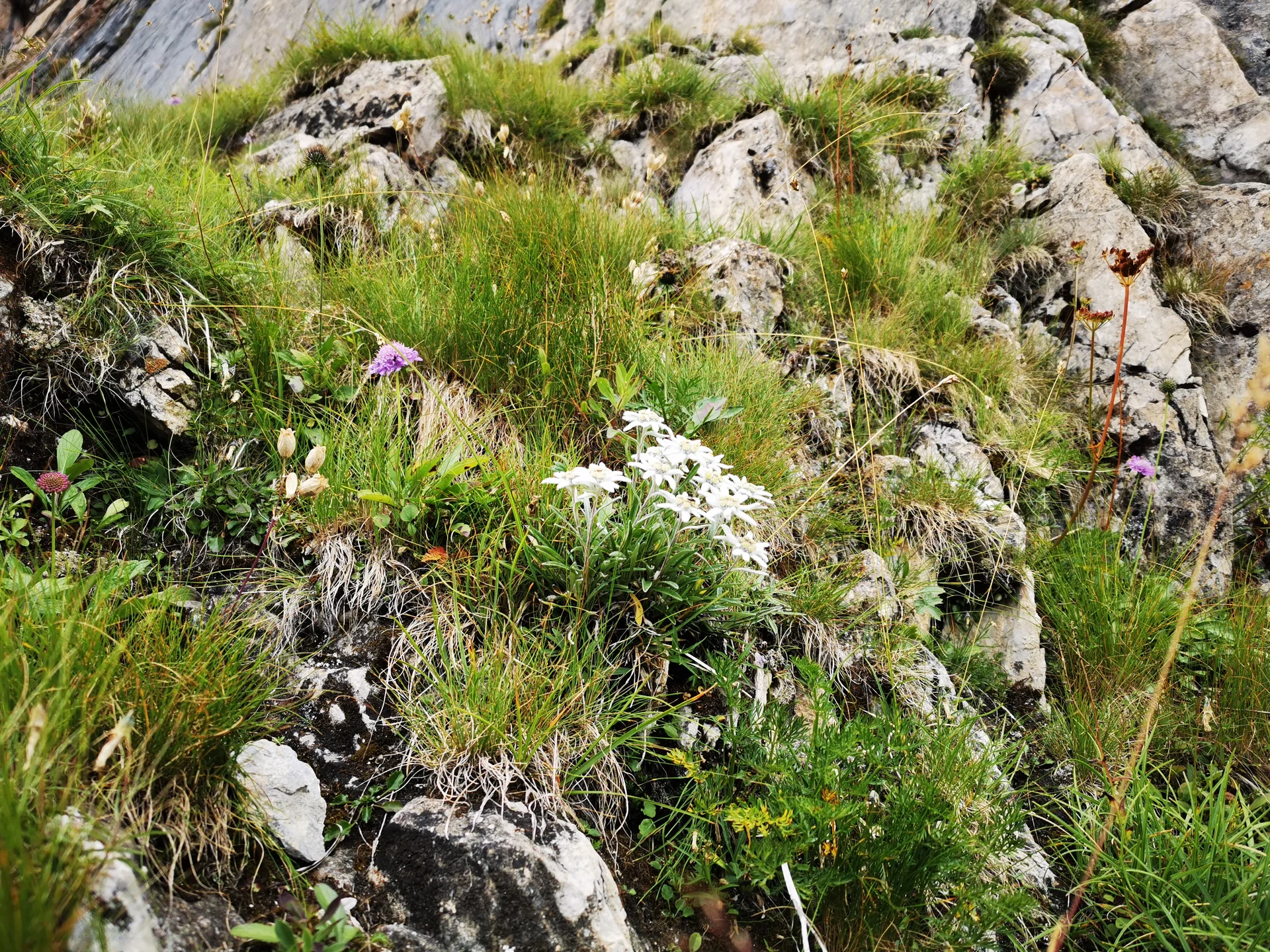 50 Jahre Hexenseehütte & Weitwanderweg 712 | © DAV Heidelberg/Marc Derungs 