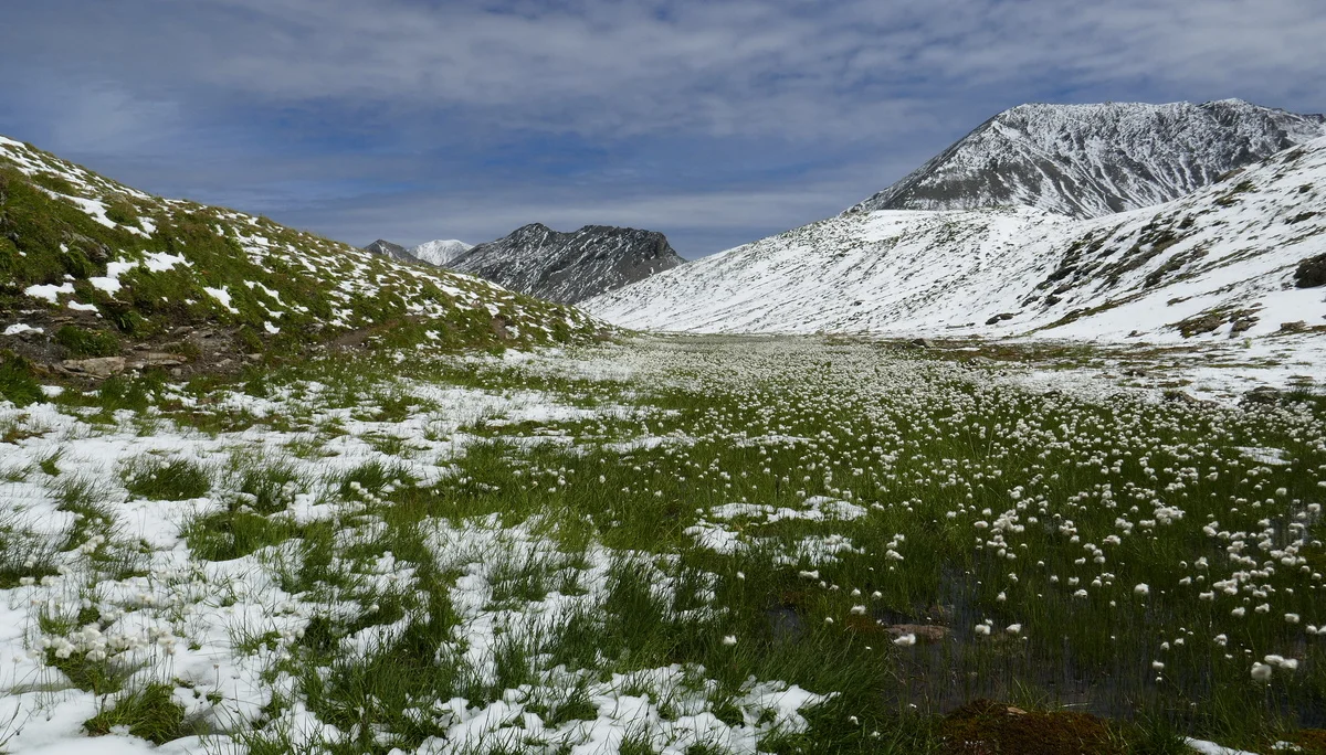 Wegearbeiten im Raum Heidelberger Hütte | © DAV Heidelberg/Hans Posawatz