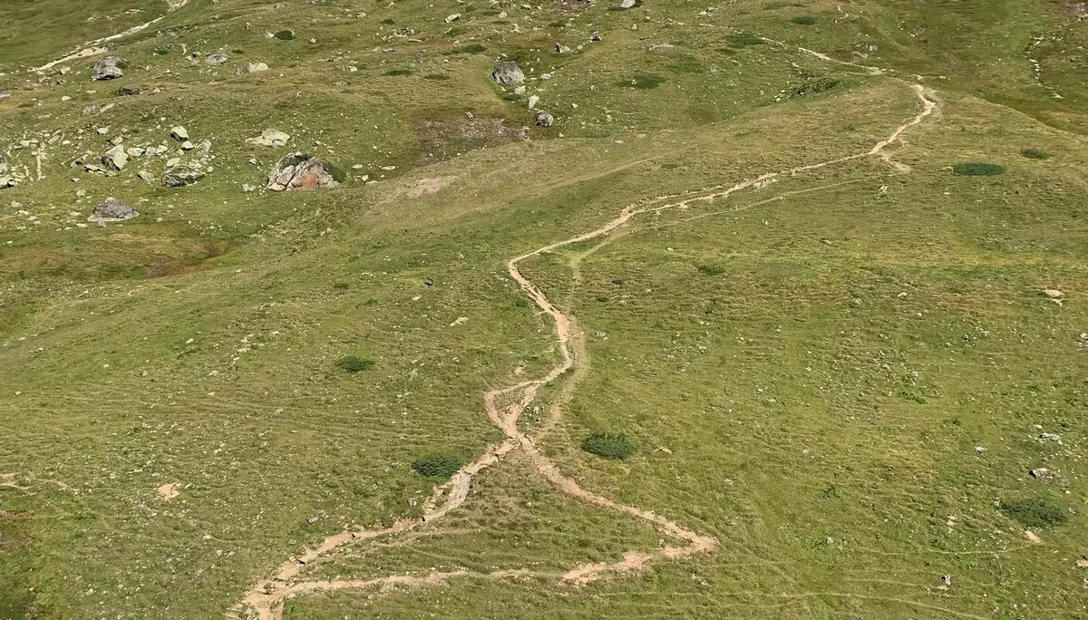 Wegearbeiten im Raum Heidelberger Hütte 2025 | © DAV Heidelberg/Helmut Stefani