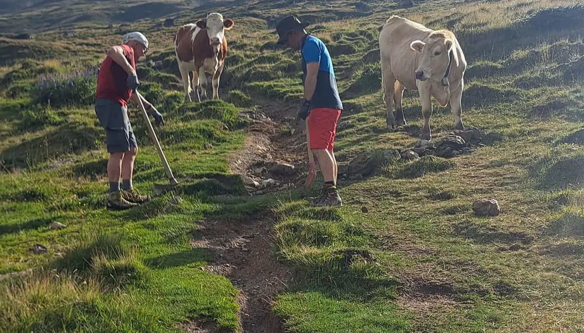 Wegearbeiten im Raum Heidelberger Hütte 2025 | © DAV Heidelberg/Luisa Ueltzhöffer