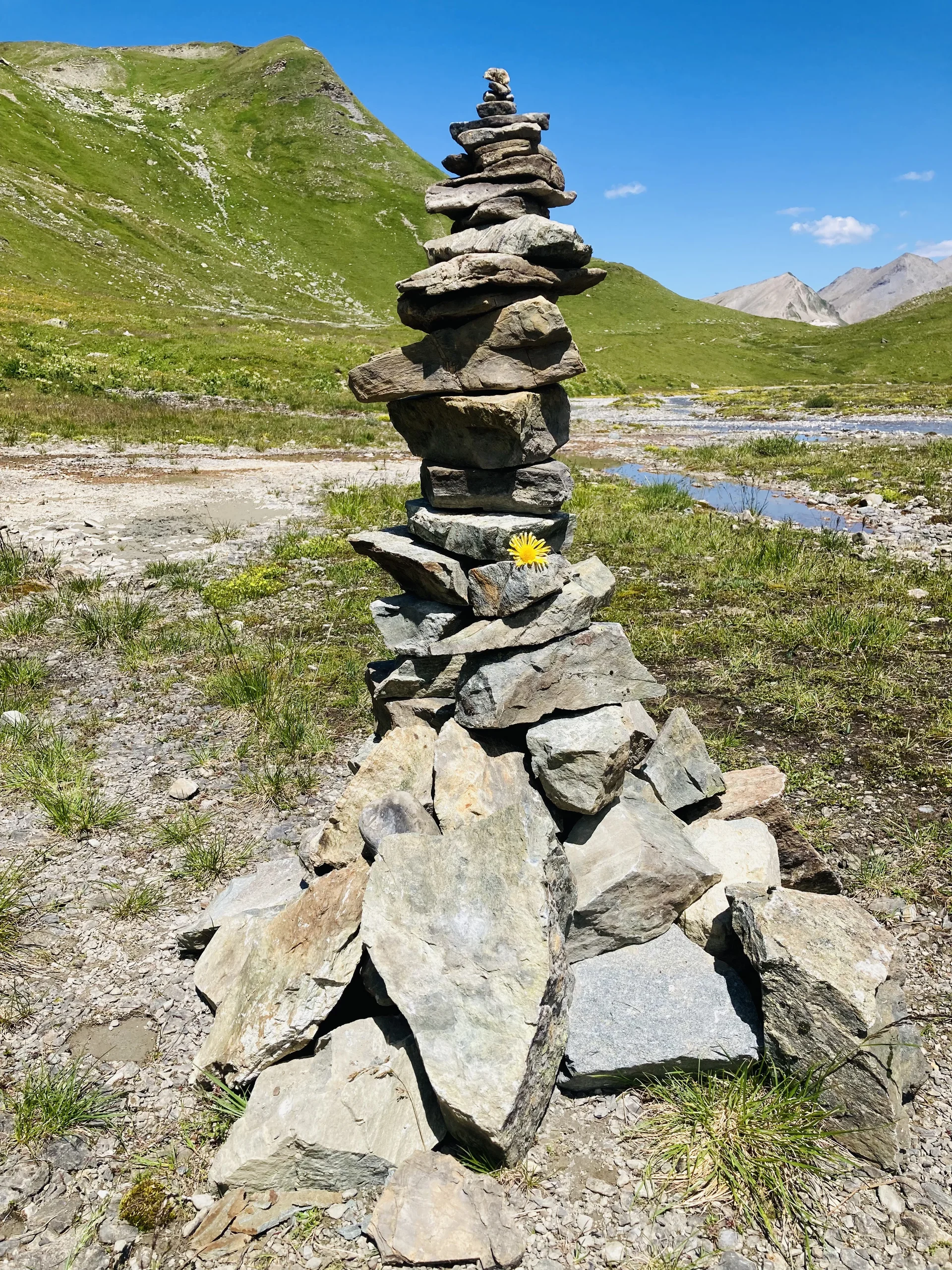 Projektwoche Elisabeth-von-Thadden-Gymnasiums Heidelberg | © DAV Heidelberg/Sabrina Großmann