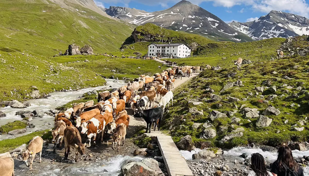 Projektwoche Elisabeth-von-Thadden-Gymnasiums Heidelberg | © DAV Heidelberg/Steffen Schellhammer