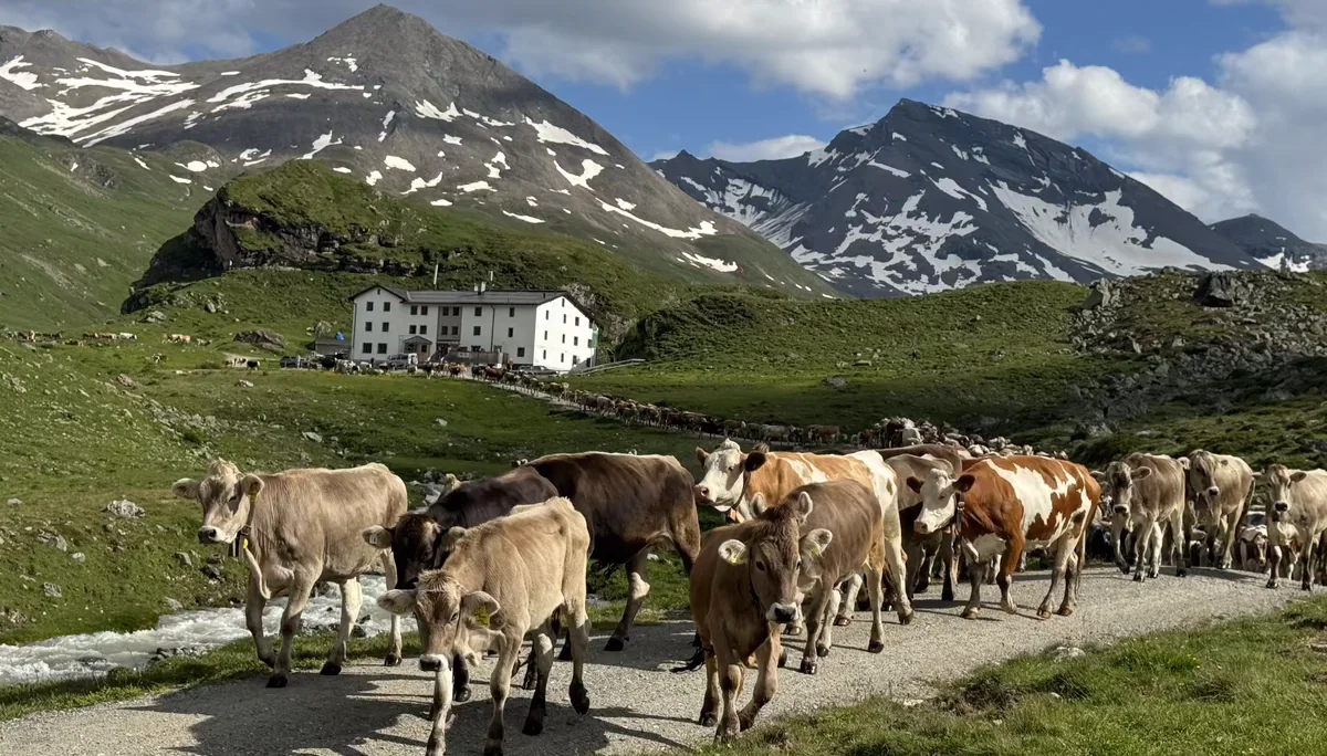Projektwoche Elisabeth-von-Thadden-Gymnasiums Heidelberg | © DAV Heidelberg/Steffen Schellhammer